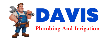 Trusted plumber in BALSAM GROVE